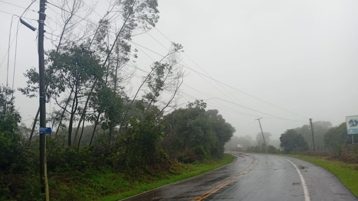 DNIT intensifica manejo da arborização para melhorar segurança na BR-470 na Serra Gaúcha