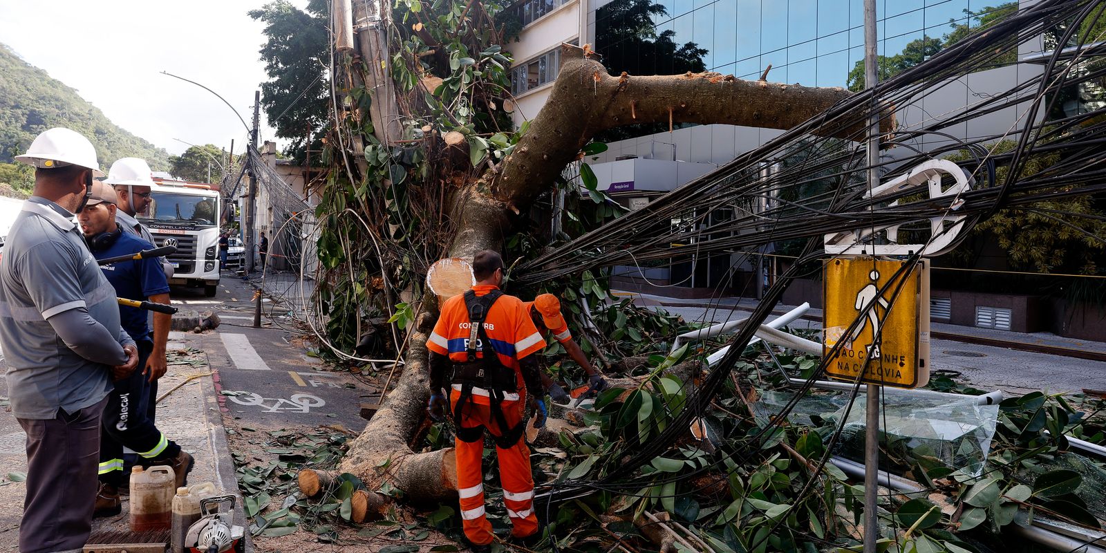 Rede elétrica pode ser mais resistente a ventos fortes