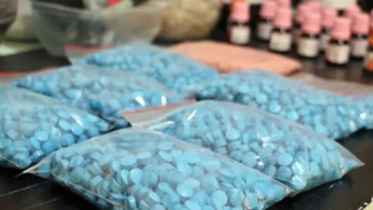 Jovem de 23 anos é preso em Alegre por tráfico de drogas sintéticas com movimentação de R$ 400 mil