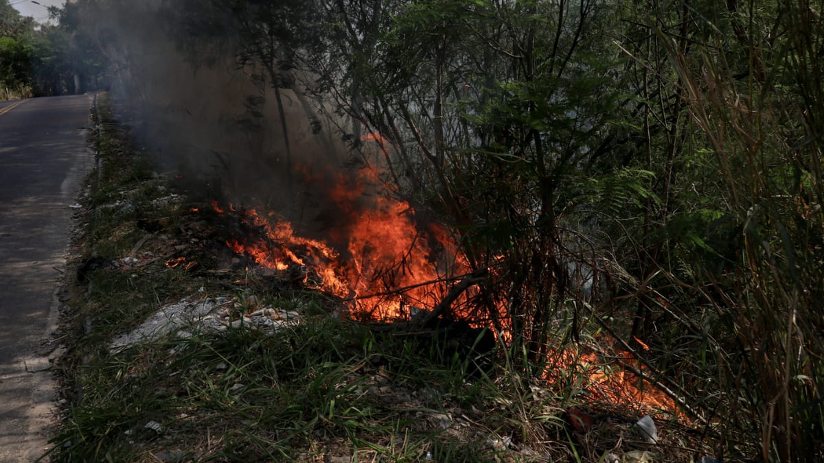 Defesa Civil alerta para risco muito alto de incêndios florestais no Rio de Janeiro