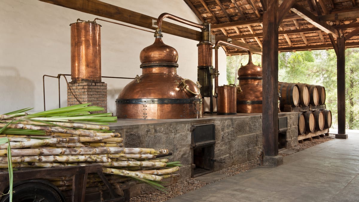 Mapa divulga Anuário da Cachaça 2026 com dados de 2025 sobre produção e exportação