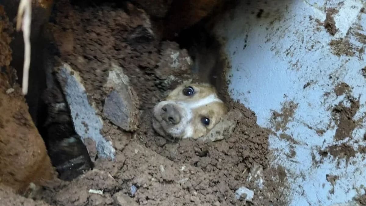 Desabamento de muro em Concórdia durante chuvas preocupa moradores
