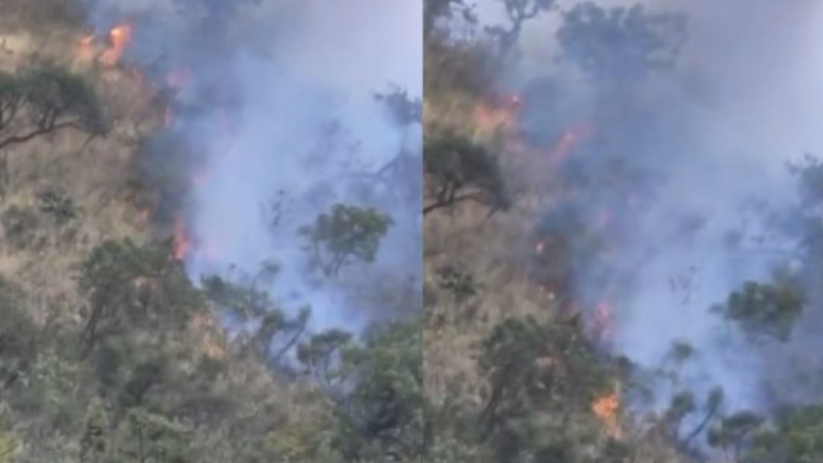 Incêndio em vegetação mobiliza Corpo de Bombeiros na Serra do Curral, em Belo Horizonte