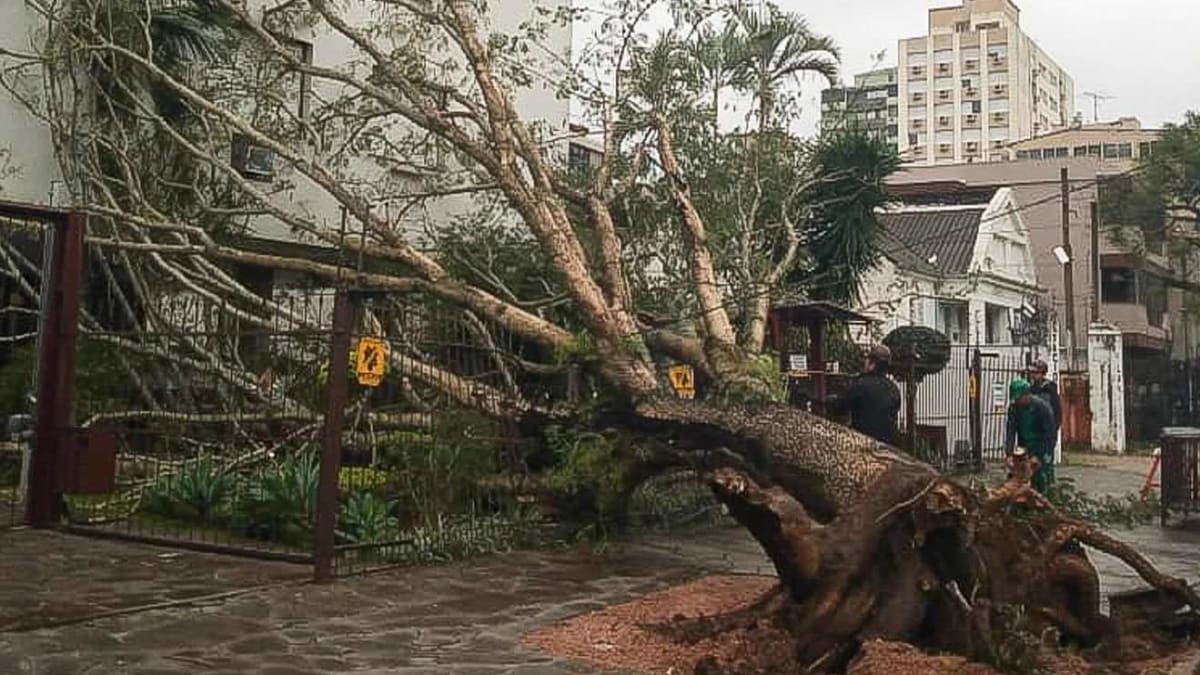 Rio Grande do Sul enfrenta temporais e queda de temperatura com avanço de frente fria em agosto
