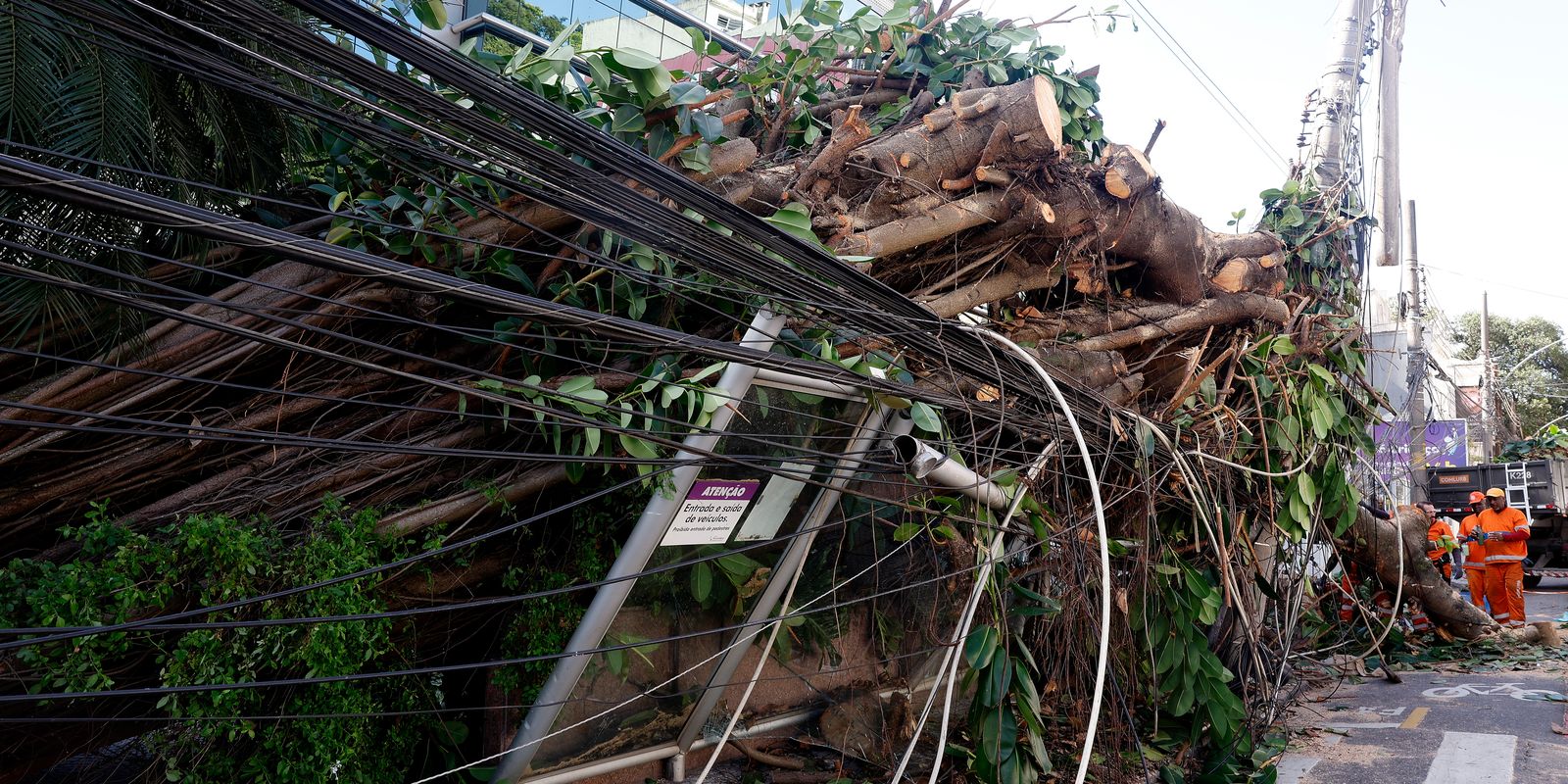 Clima no Rio de Janeiro deve melhorar após vendaval intenso