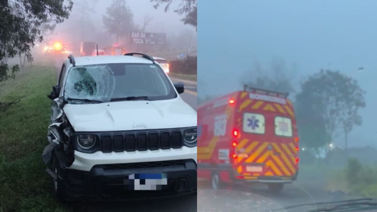 Irmãos morrem atropelados na BR-470 em Pouso Redondo, Santa Catarina