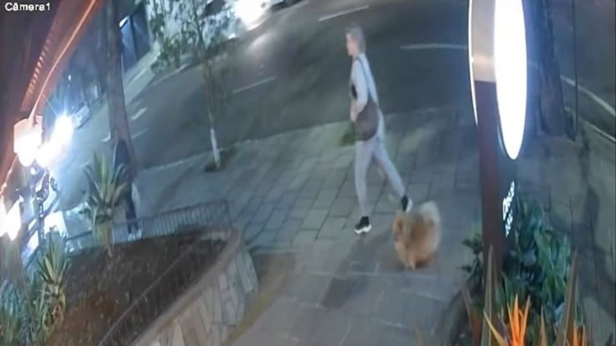 Mulher é atacada ao tentar proteger cão em Bento Gonçalves