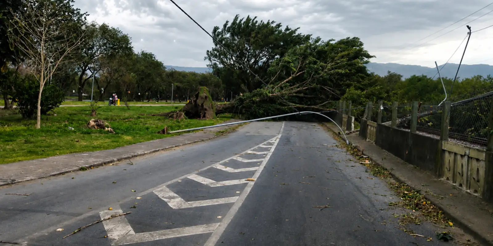 Frente fria traz chuva e vento forte a São Paulo