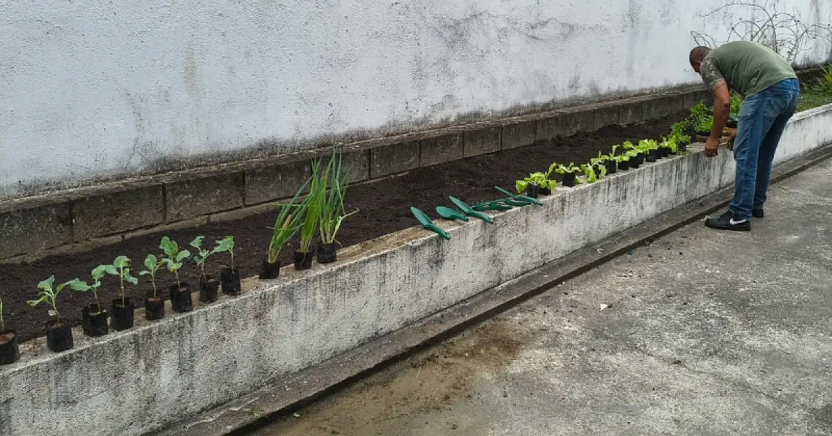 Projeto de horticultura terapêutica é implantado em espaço ocioso com apoio da Secretaria de Agricultura e Meio Ambiente