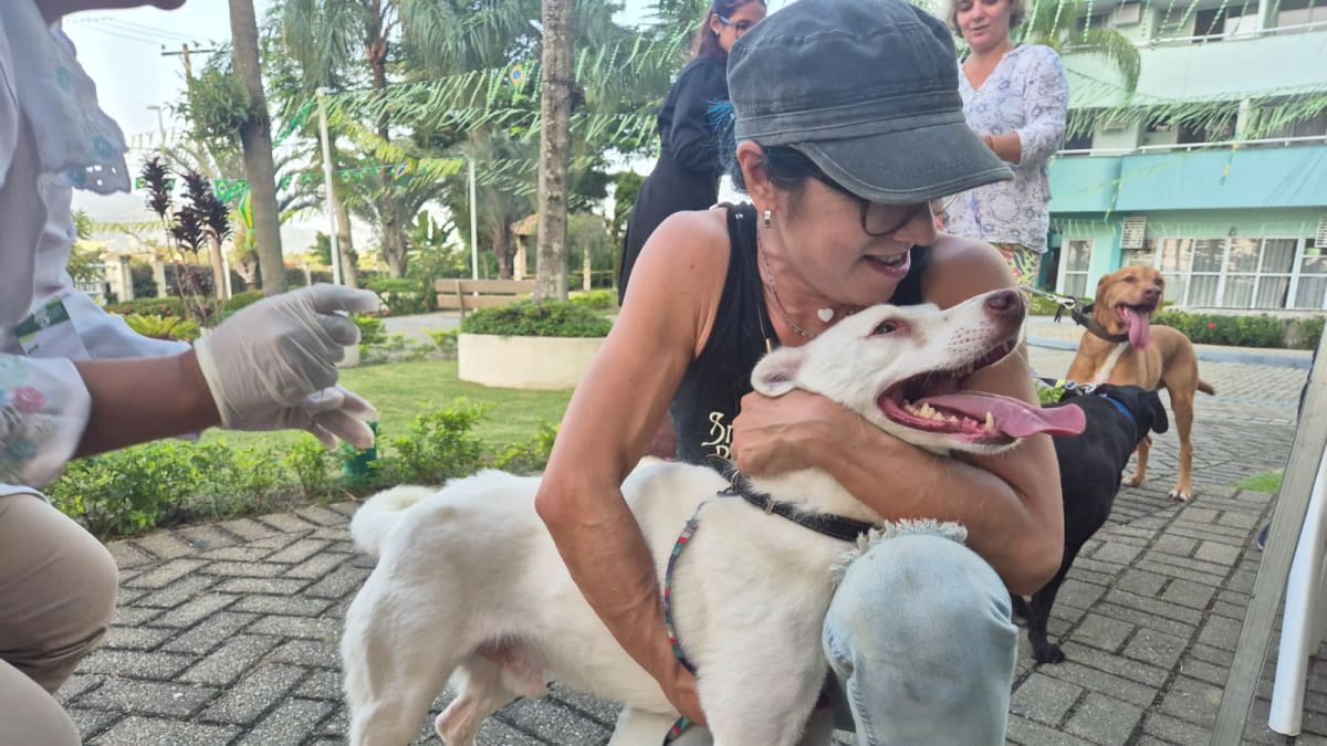 Tijuca recebe campanha gratuita de vacinação antirrábica para cães e gatos