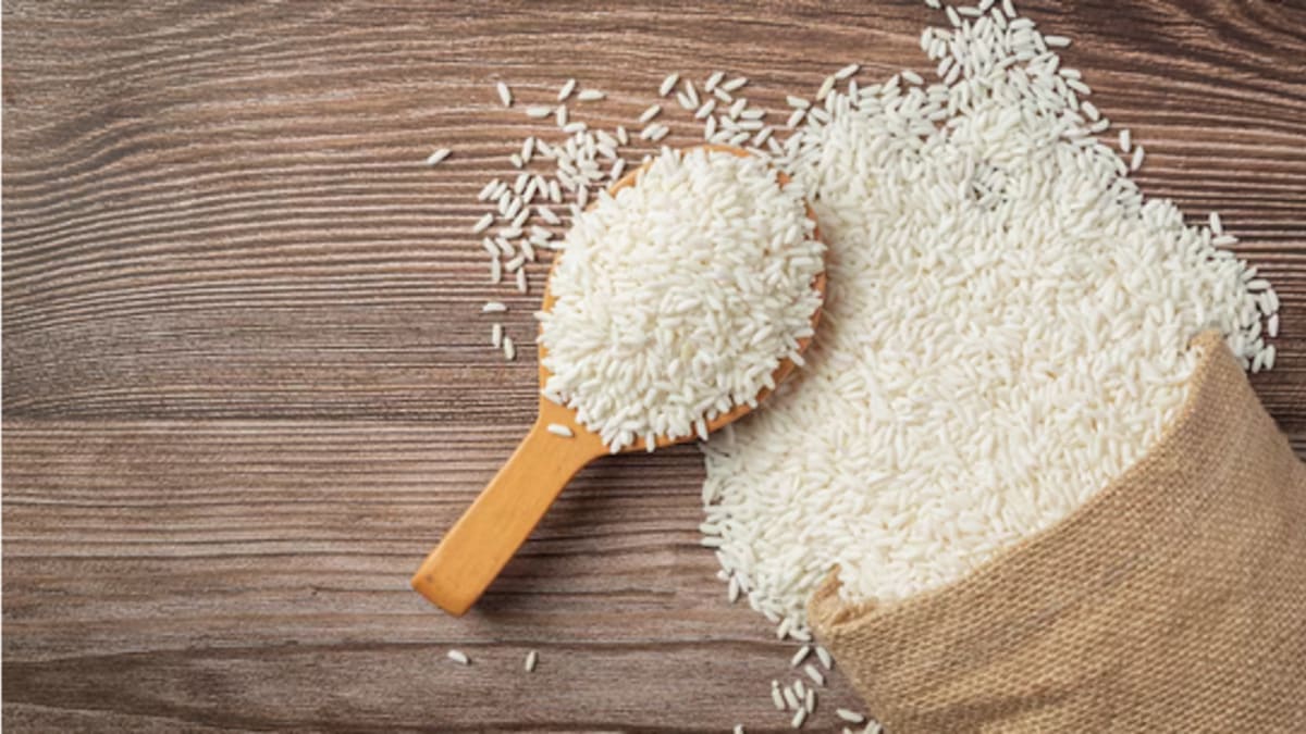 Preço do arroz em casca no Rio Grande do Sul atinge maior nível em 11 meses