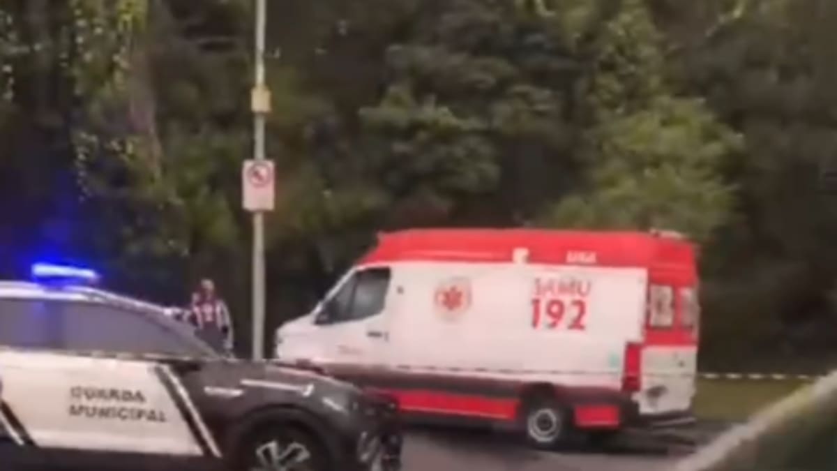 Homem é encontrado morto em área de mata após testemunha ouvir barulho em Santa Catarina