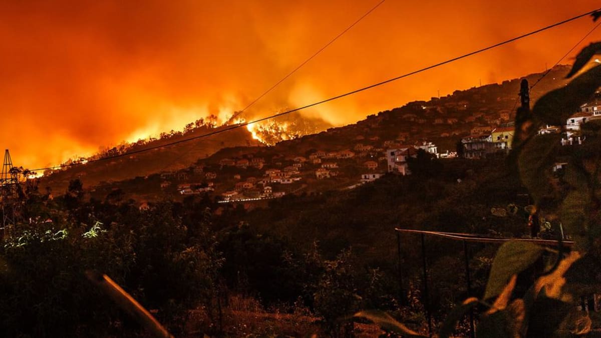 Ondas de calor e eventos climáticos extremos em 2026 agravam insegurança alimentar e causam mortes na Europa e outras regiões