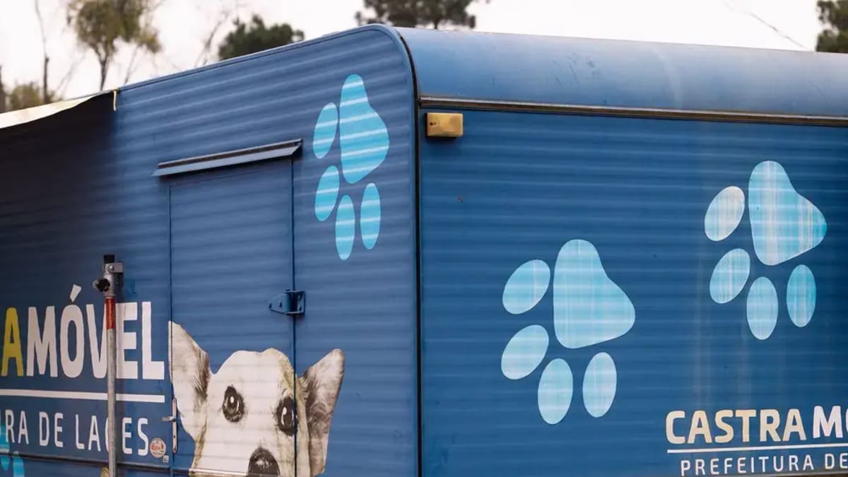 Programa de castração em Lages realiza quase 3,5 mil procedimentos em 2024 e destaca controle populacional de animais