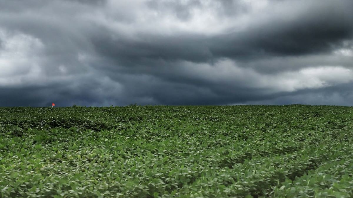 Defesa Civil alerta para ciclone extratropical que deve afetar o Paraná nos próximos dias