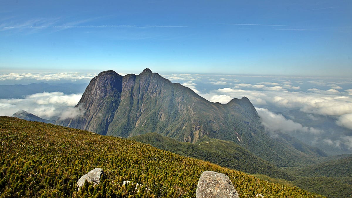 Parques estaduais Pico Paraná, Serra da Baitaca e Marumbi reabrem para visitação no Paraná