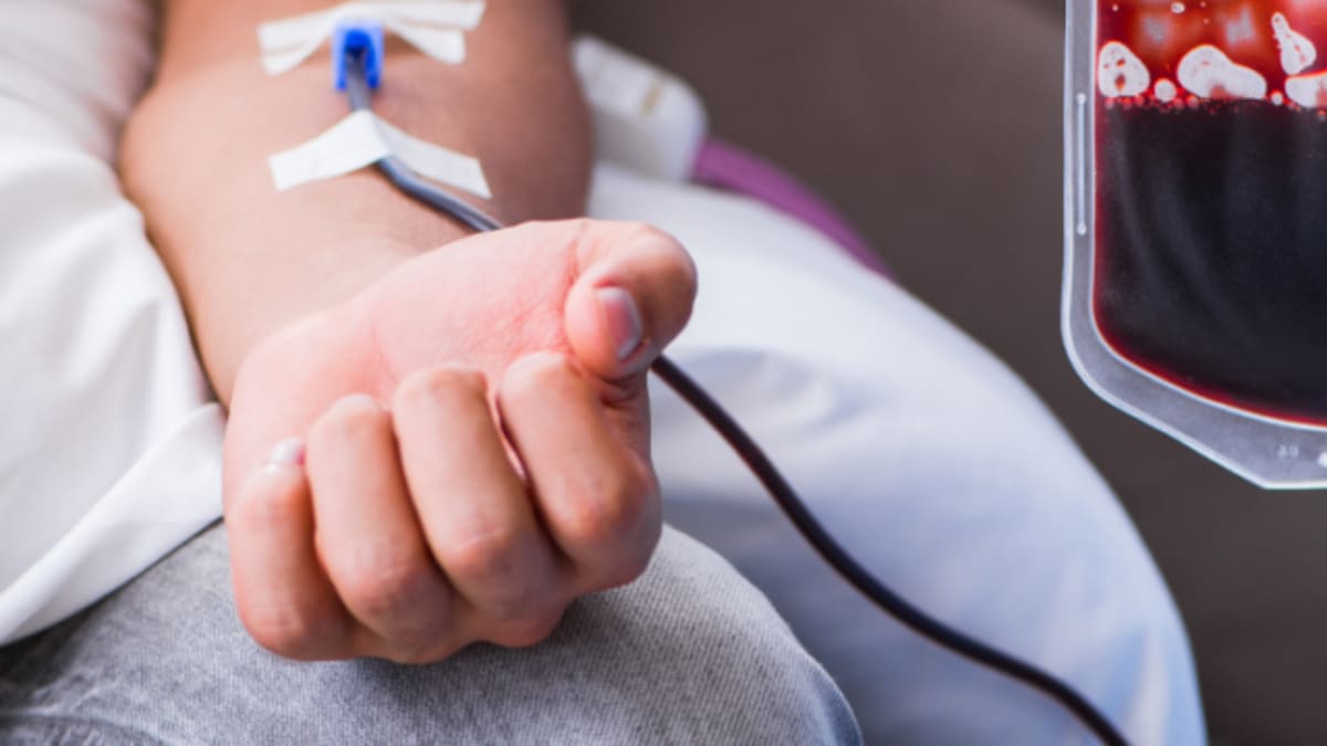 Campanha de Doação de Sangue em Bento Gonçalves arrecada 78 bolsas para pacientes da região