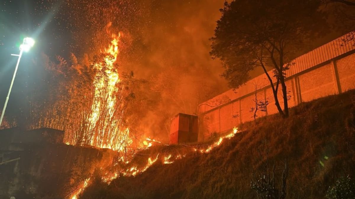 Incêndio consome área de mata na Vila Sumaré, em Belo Horizonte, e bombeiros atuam para conter chamas