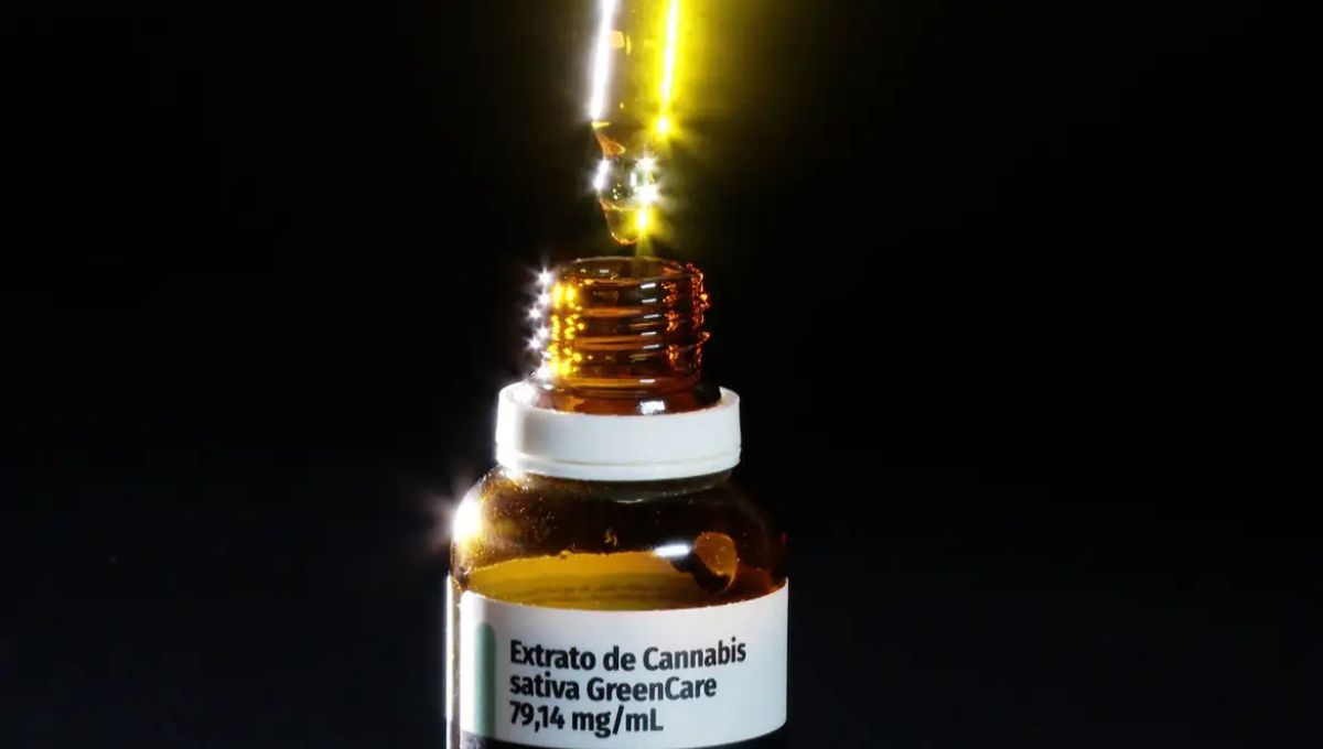 Anvisa libera venda de canabidiol em farmácias de manipulação e autoriza cultivo para uso medicinal