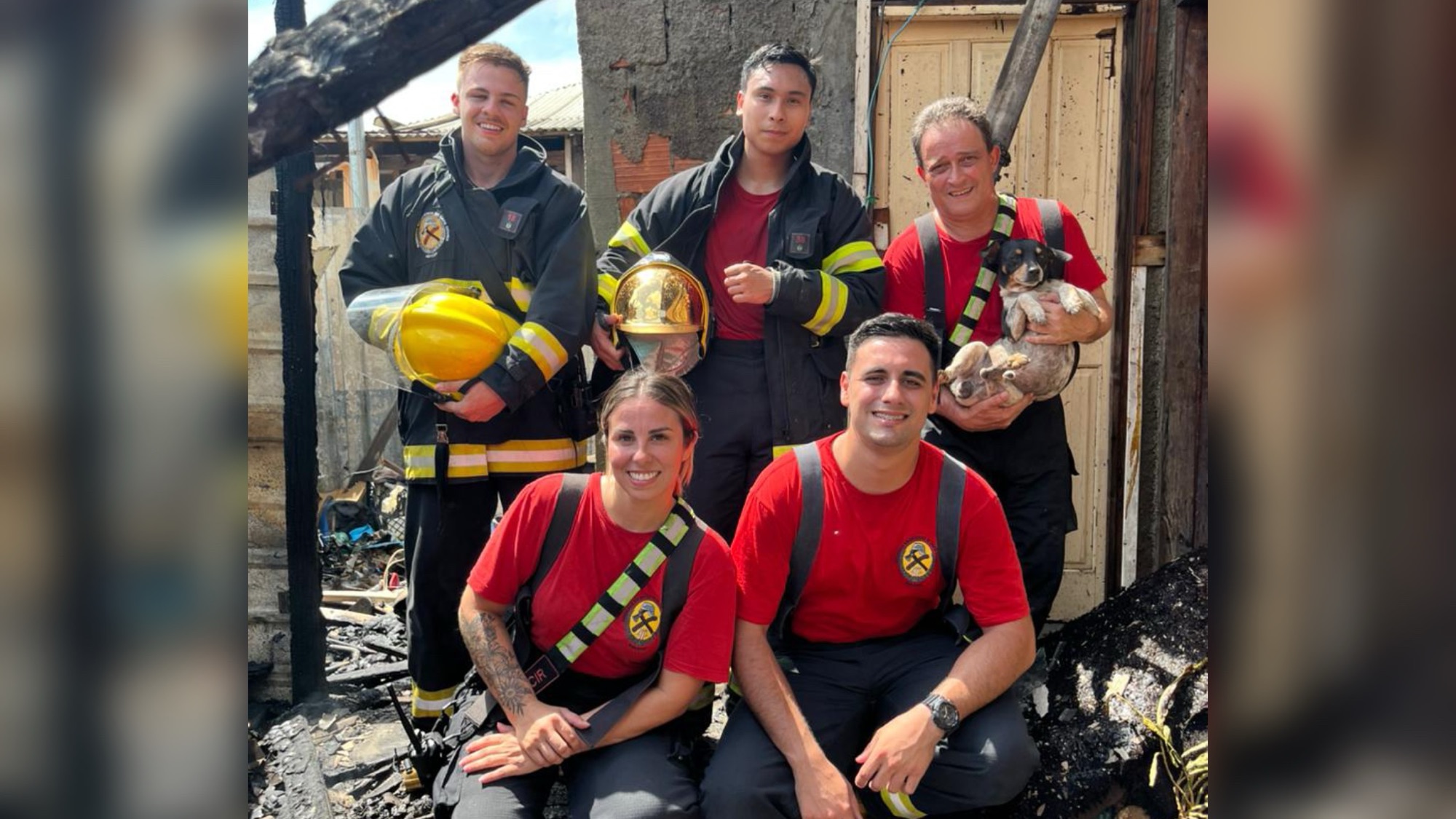 Bombeiros resgatam cão durante incêndio em residência no Centro de Ilhota
