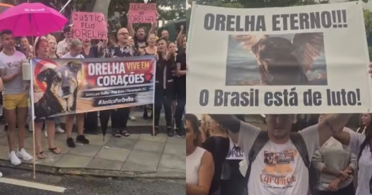 Protesto em Florianópolis cobra transparência na investigação da morte do cão Orelha
