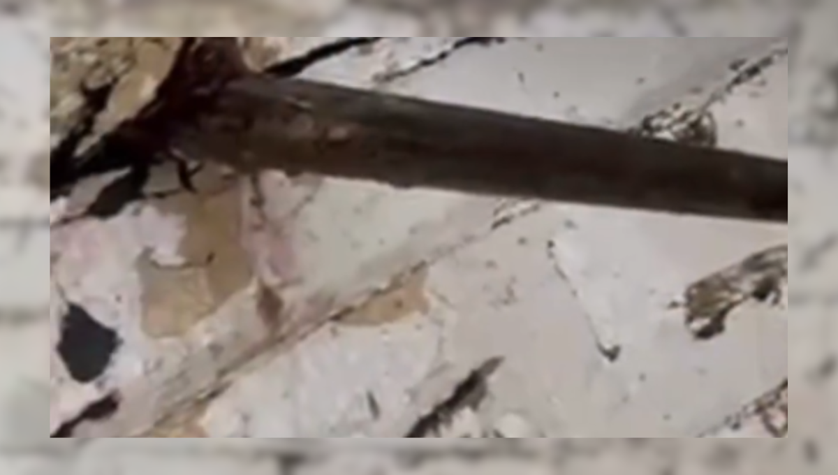 Embarcação tem casco perfurado por peixe agulhão no litoral de SC