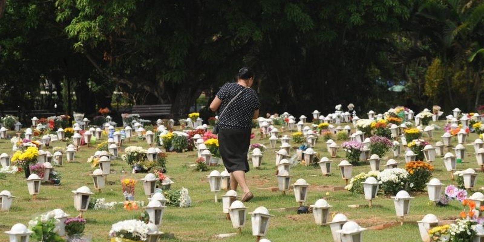 Lei autoriza enterro de cães e gatos em jazigos familiares em São Paulo