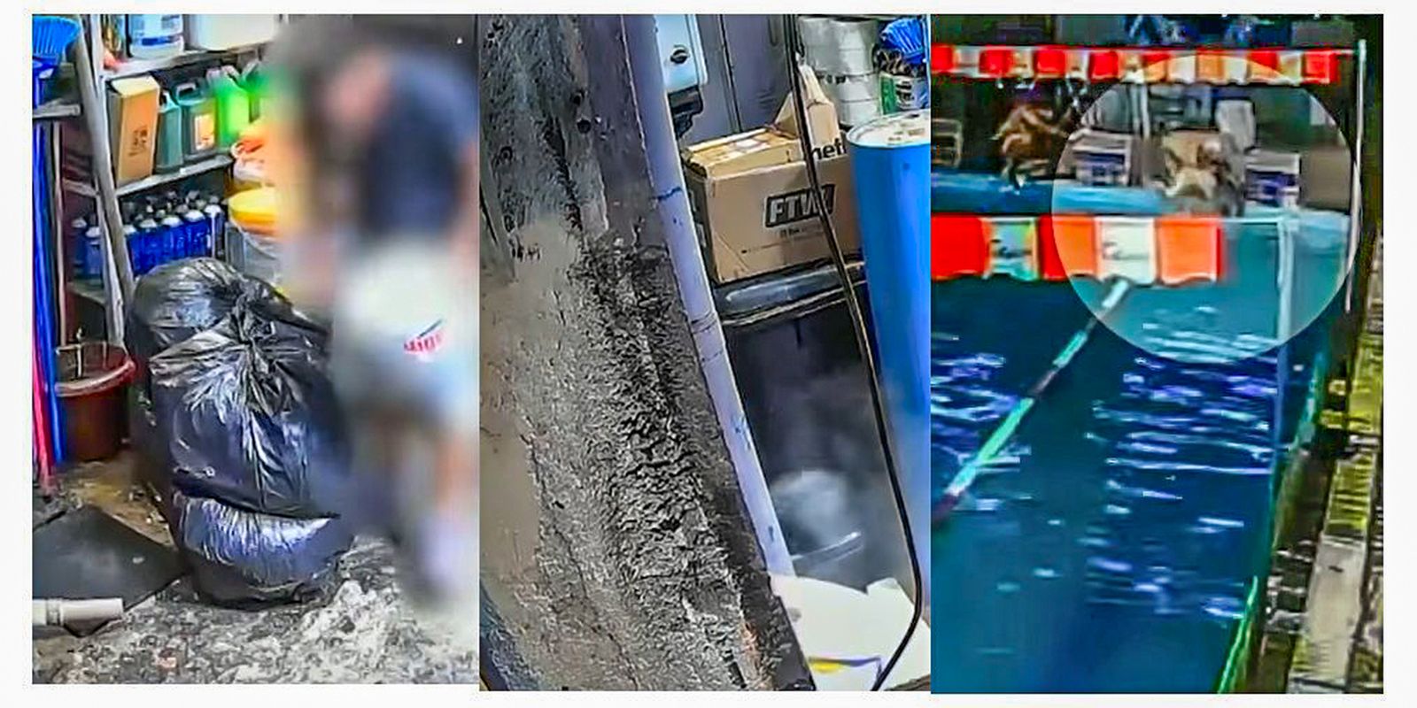 Donos de academia indiciados por morte em São Paulo