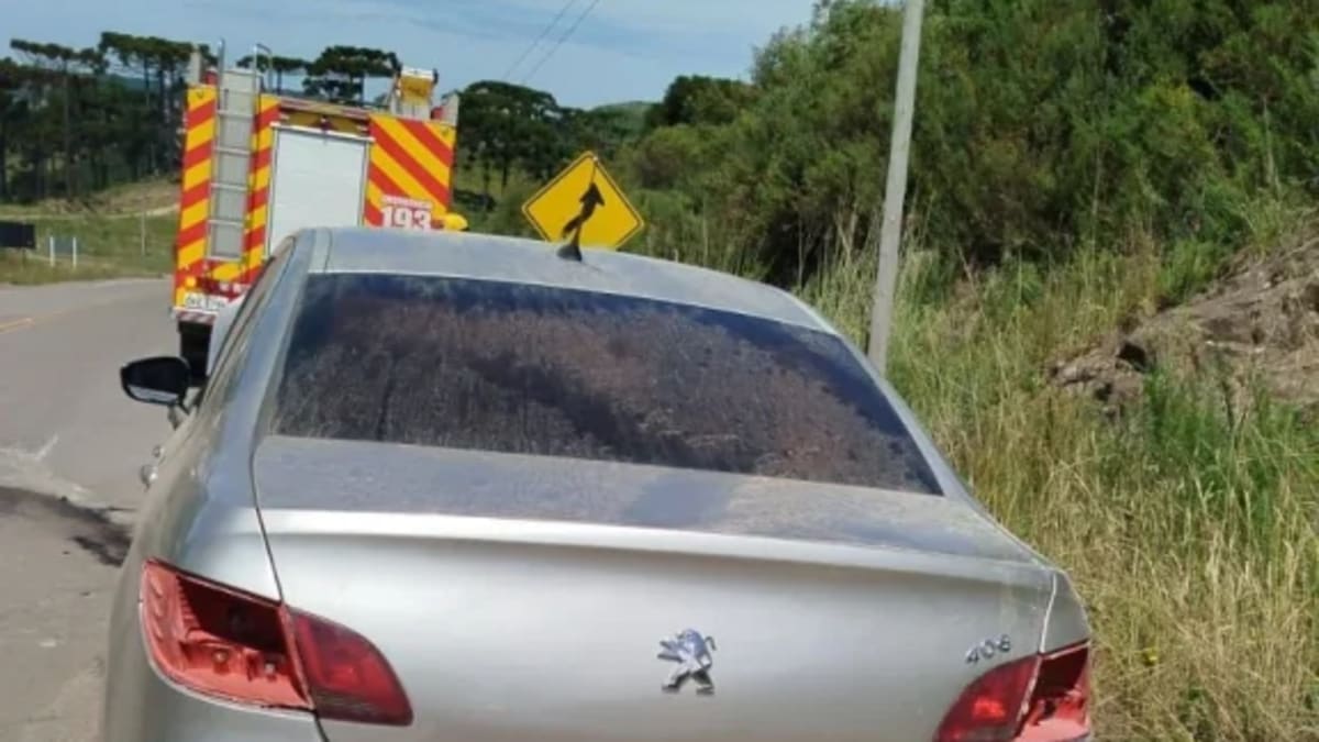 Motor de veículo pega fogo em rodovia estadual de São Joaquim