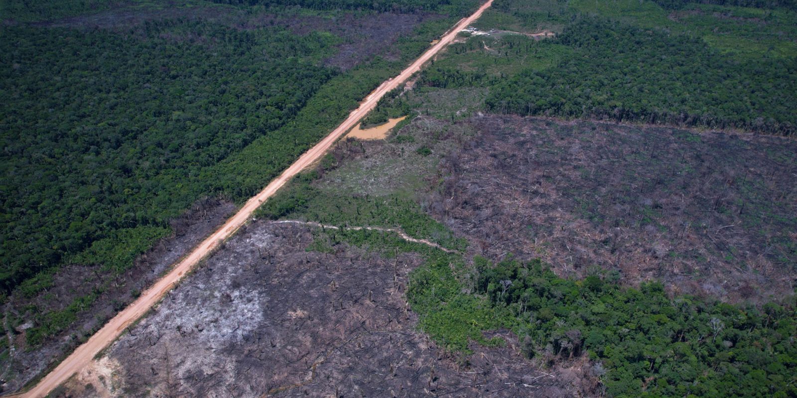 Queda expressiva no desmatamento da Amazônia e Cerrado
