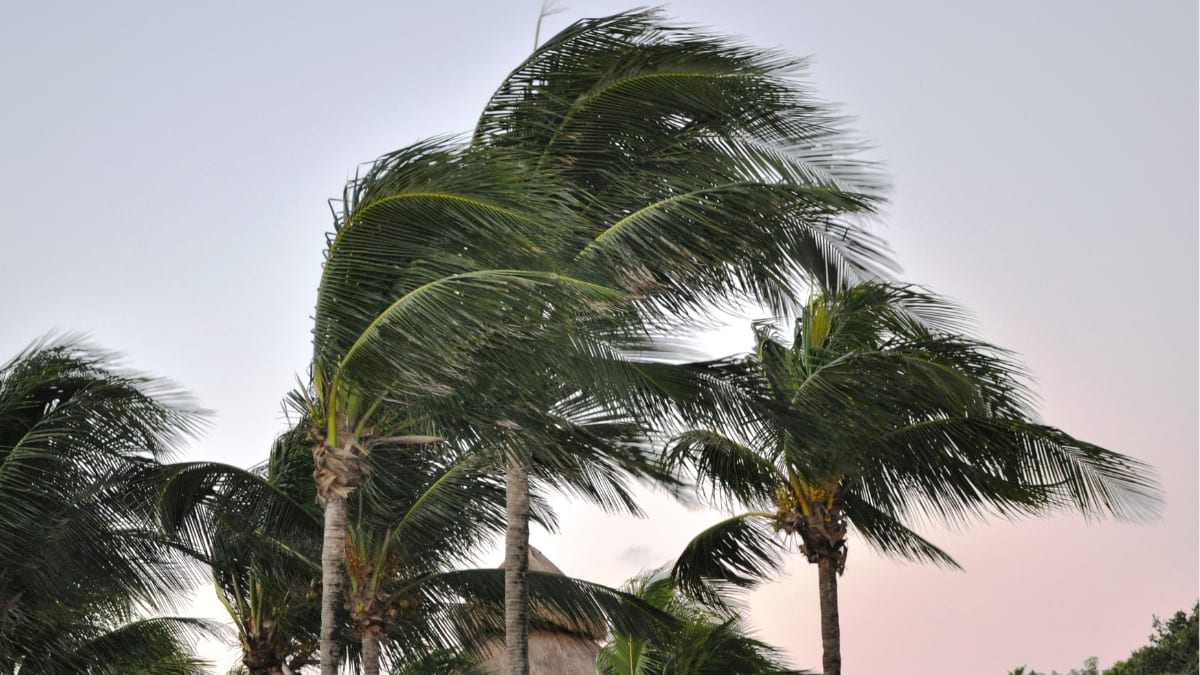 Calor de até 38°C antecede temporais com granizo em Santa Catarina