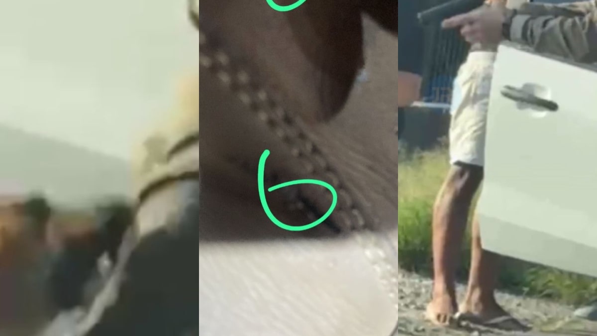 PM reage após ser mordido por cachorro durante abordagem na SC-401, em Florianópolis