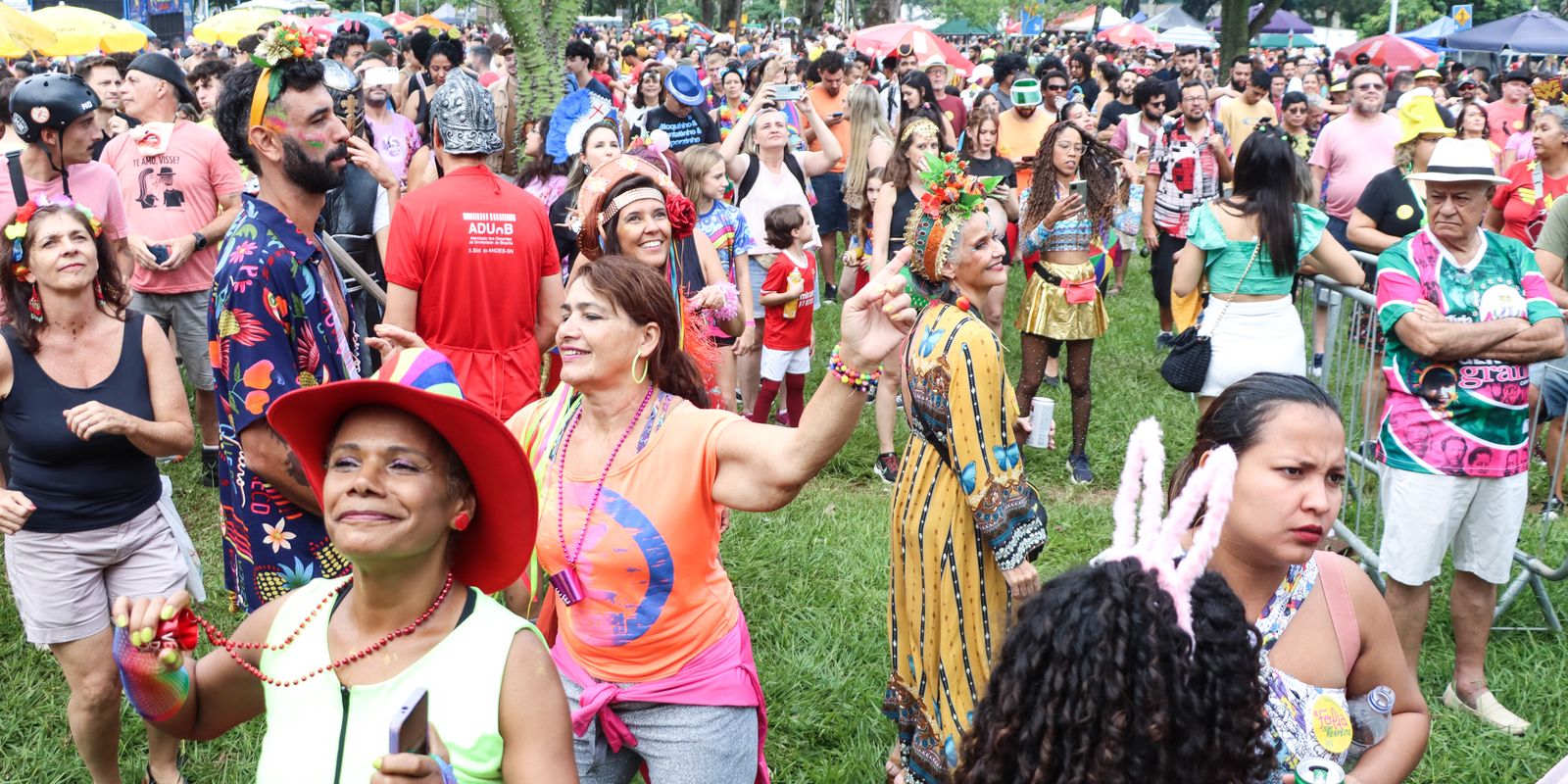 Carnaval no Distrito Federal reúne mais de 70 blocos animados
